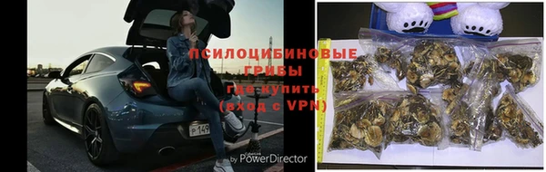 a pvp Рославль