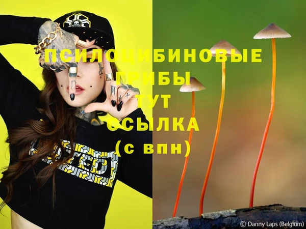 a pvp Рославль