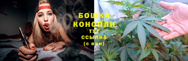 спайс Ростов